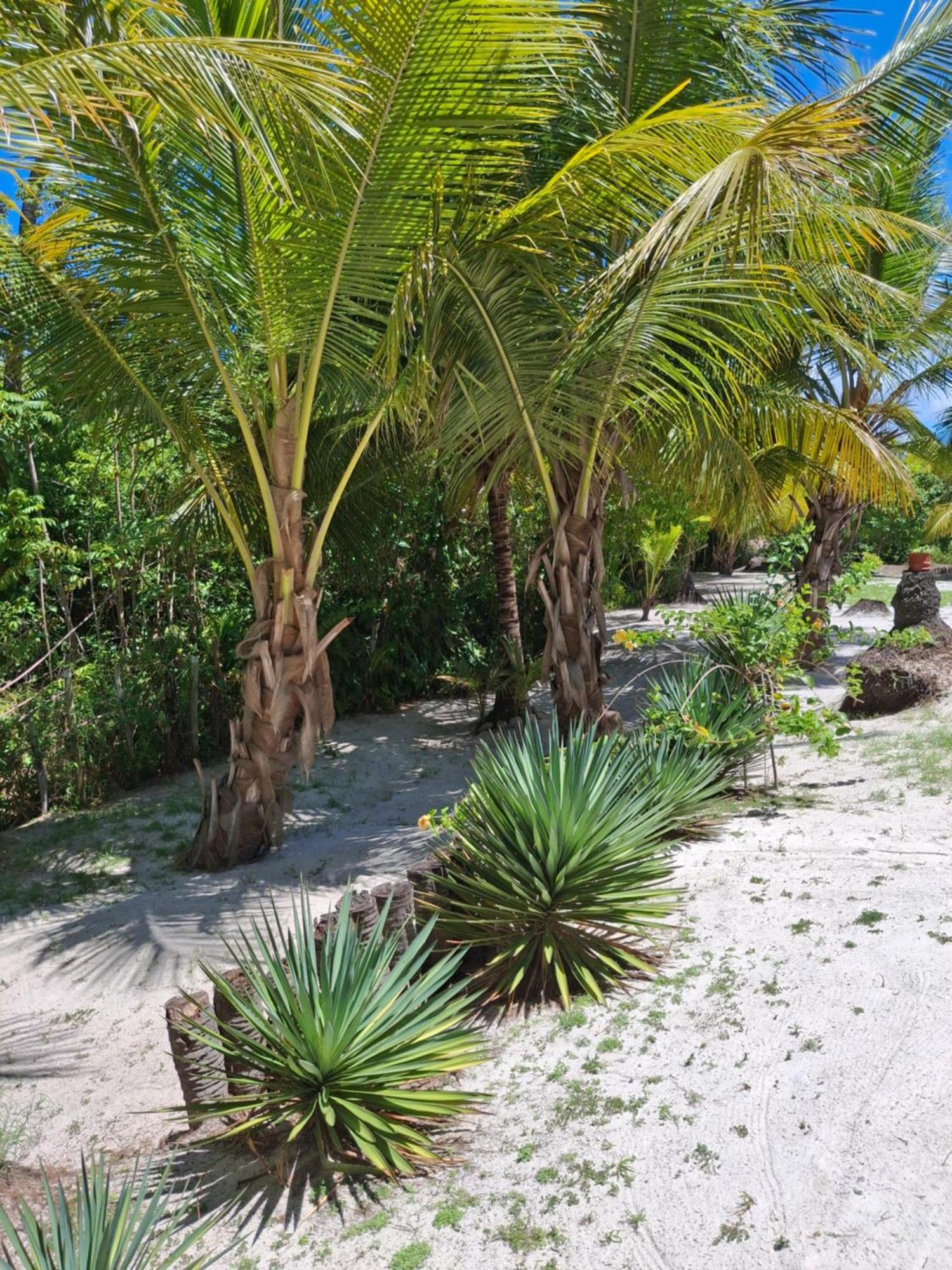 Recanto Verde - Praia De Santo Antonio Diogo Exterior photo