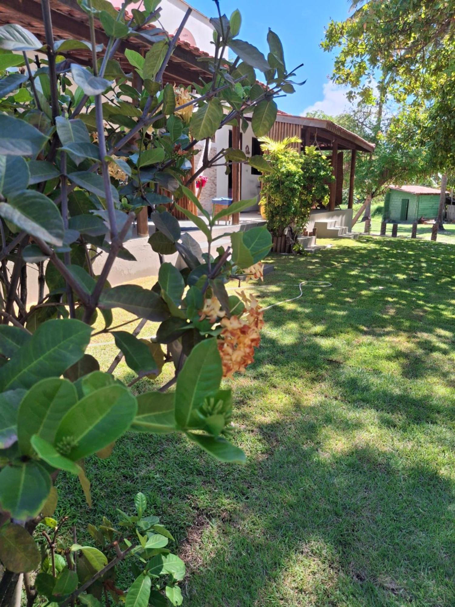 Recanto Verde - Praia De Santo Antonio Diogo Exterior photo